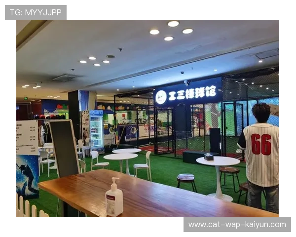 棒球青训基地设备更新换代，棒球 培训